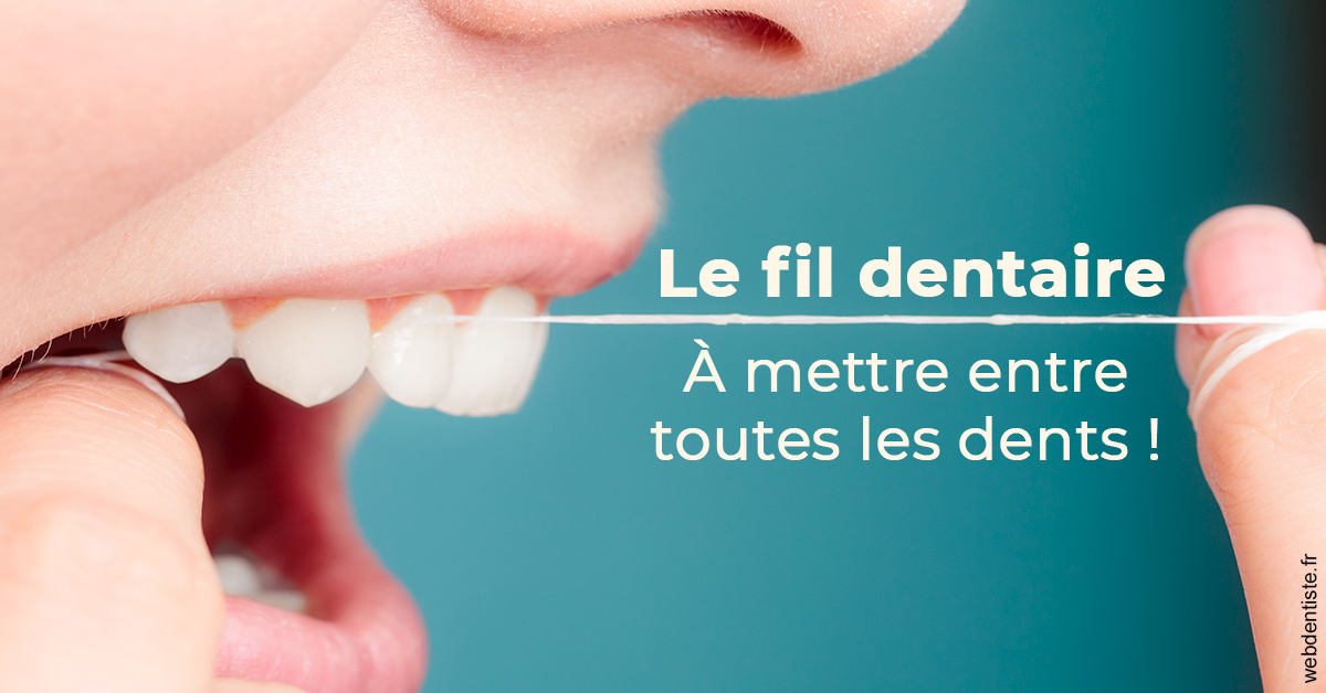 https://dr-paul-graindorge.chirurgiens-dentistes.fr/Le fil dentaire 2