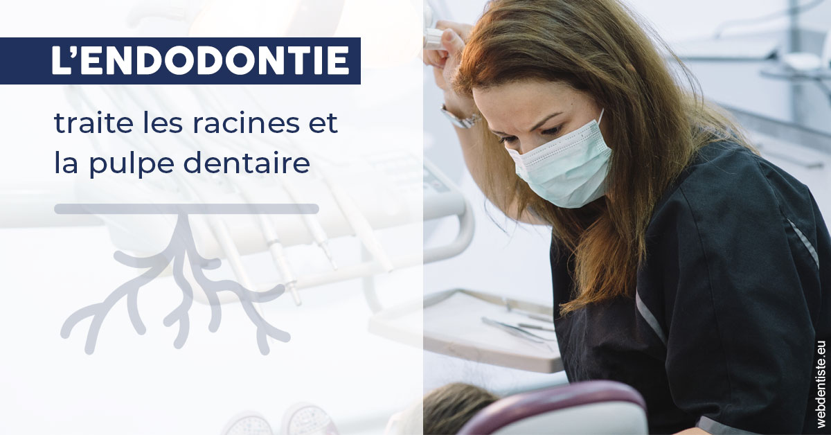 https://dr-paul-graindorge.chirurgiens-dentistes.fr/L'endodontie 1