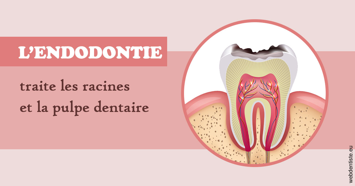 https://dr-paul-graindorge.chirurgiens-dentistes.fr/L'endodontie 2