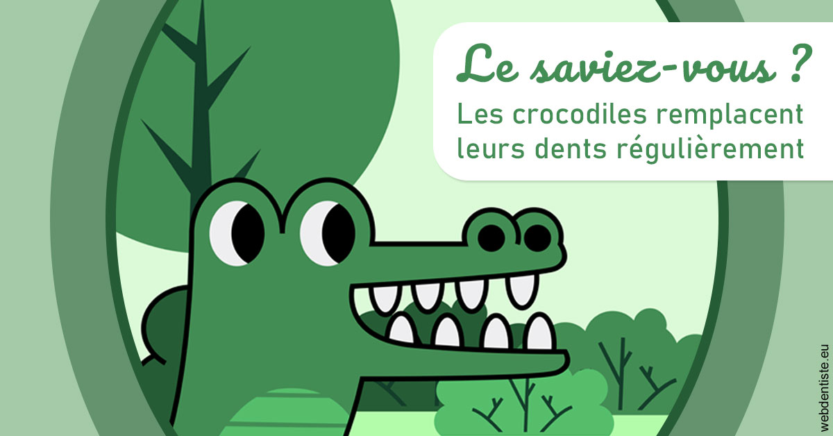 https://dr-paul-graindorge.chirurgiens-dentistes.fr/Crocodiles 2