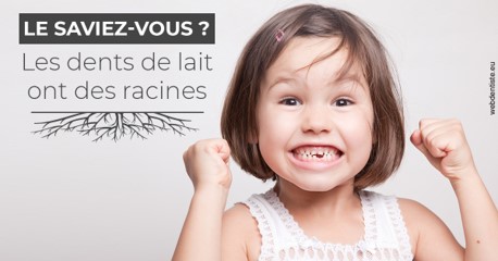 https://dr-paul-graindorge.chirurgiens-dentistes.fr/Les dents de lait